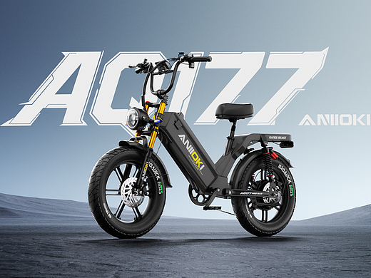 ANIIOKI AQ177 Ebike