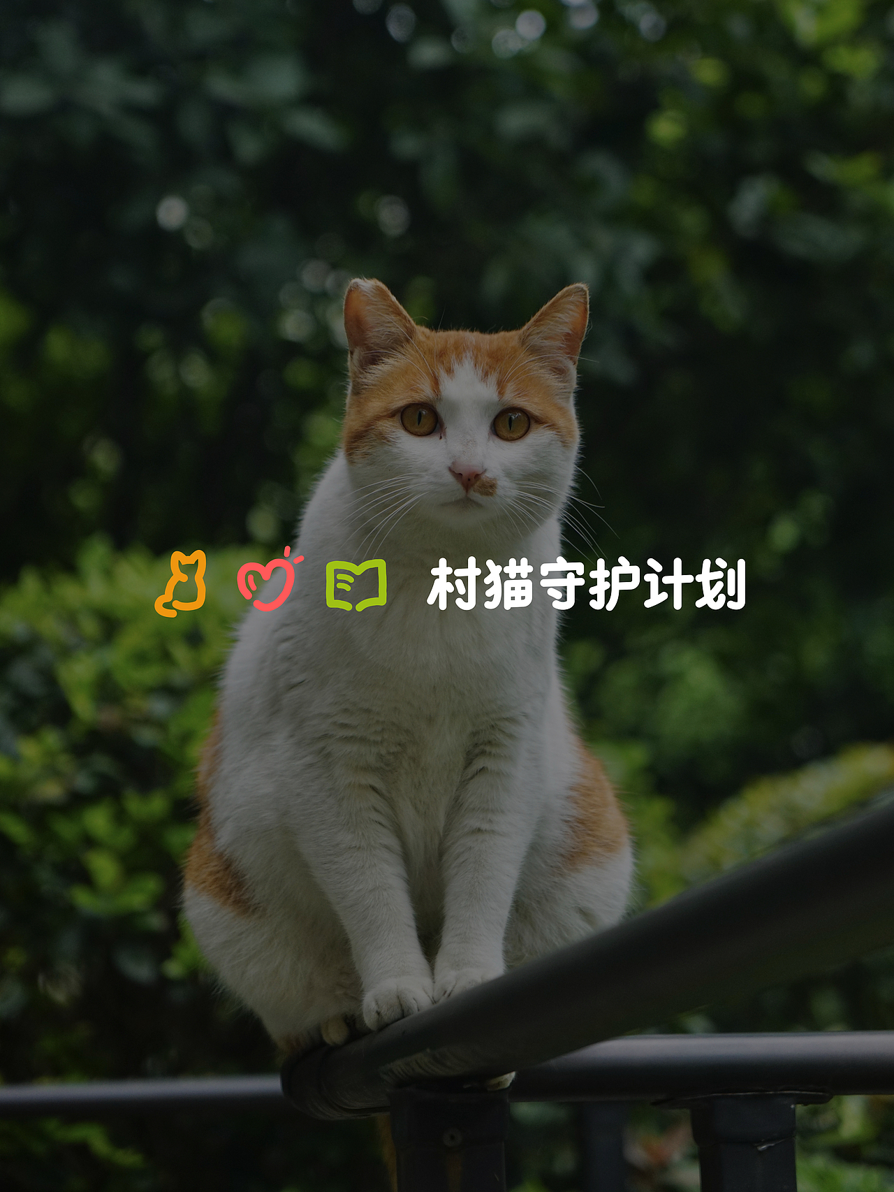 用设计「守护文化村」：良渚文化村基金会全量品牌设计（图ZNDA5NDE2OTk2） - 品牌 - 站酷设计师羿design原创素材 - 站酷ZCOOL