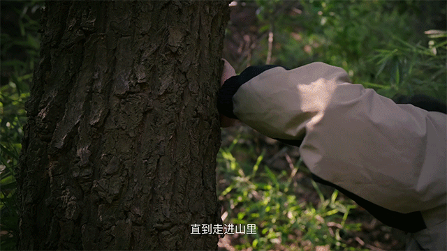《山知道答案》| 在自然中找到本真的愿望（图ZNDA5NDQ2OTMy） - 短片 - 站酷设计师甚至创意原创素材 - 站酷ZCOOL