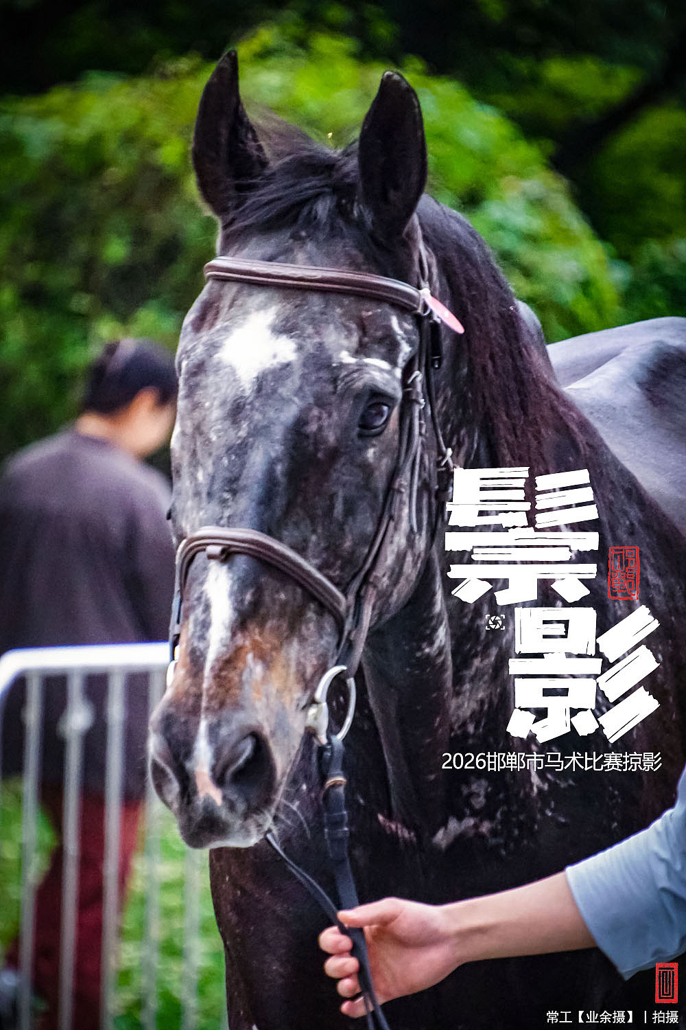 鬃影（图ZNDA5NDk0Nzcy） - 人文/纪实摄影 - 站酷设计师画设计原创素材 - 站酷ZCOOL