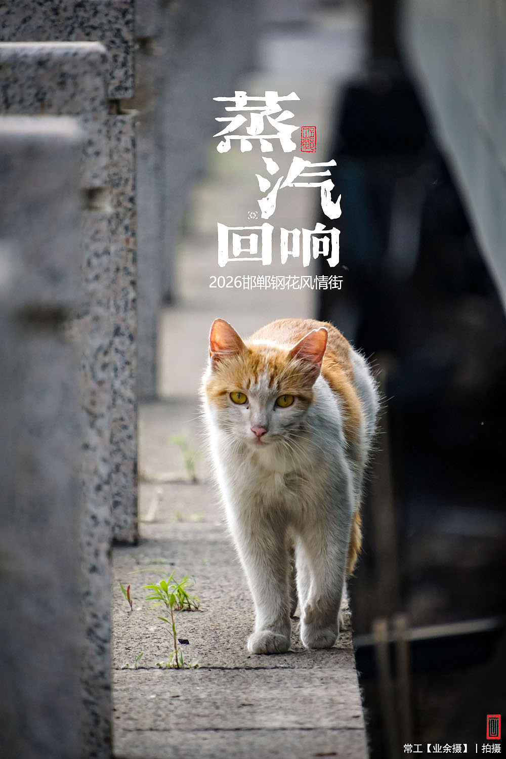 蒸汽回响（图ZNDA5NTIyNTQ4） - 人文/纪实摄影 - 站酷设计师画设计原创素材 - 站酷ZCOOL