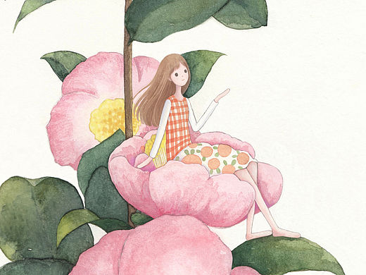 小满的植物笔记——山茶花🌺 