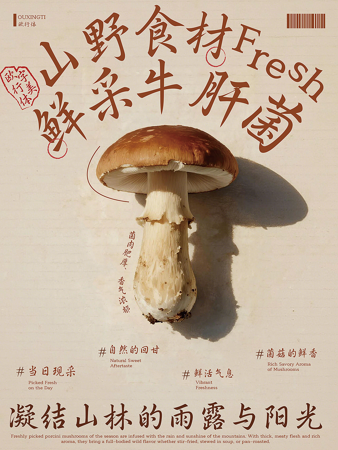 新字发布《字美欧行体》（图ZNDA5NTc1Mzc2） - 字体/字形 - 站酷设计师字美字库原创素材 - 站酷ZCOOL