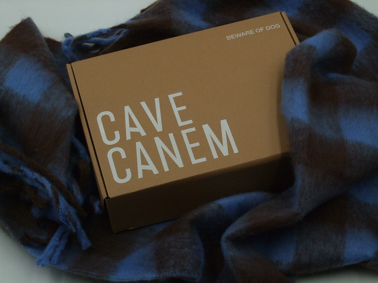 Cave Canem宠物品牌设计｜W-H-OLE（图ZNDA5NTgyNjc2） - 品牌 - 站酷设计师WHOLE一个设计原创素材 - 站酷ZCOOL