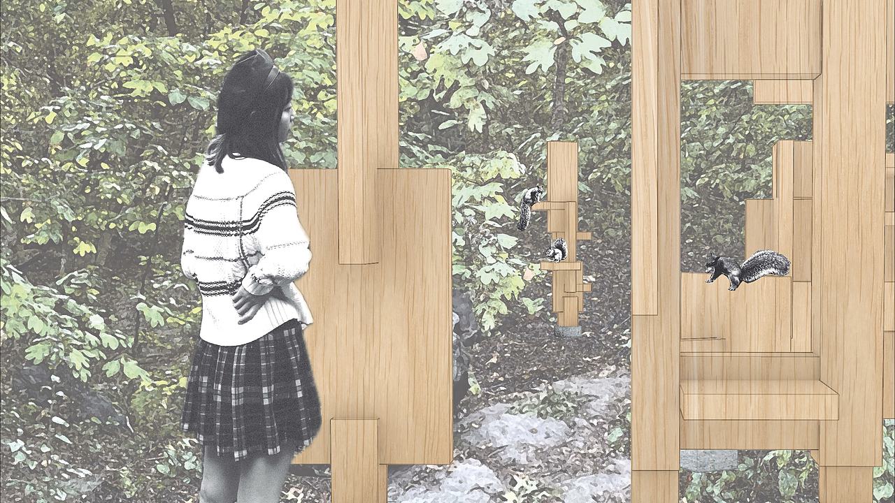 共栖之亭 ｜一场关于物种共生与材料循环的建造实验（图ZNDA5NTgzMDEy） - 其他空间 - 站酷设计师WHOLE一个设计原创素材 - 站酷ZCOOL