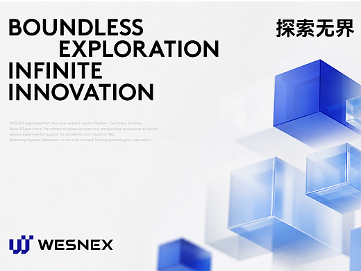 【WESNEX 韦斯实验】医疗仪器品牌全案设计