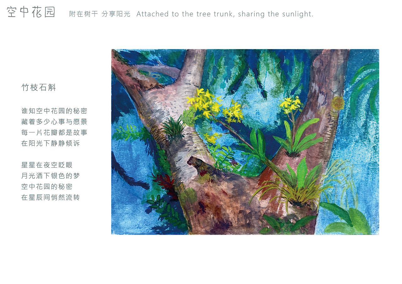 《涌·生命织景》热带雨林绘本设计（图ZNDA5NjMyOTM2） - 绘本 - 站酷设计师Z726576108原创素材 - 站酷ZCOOL