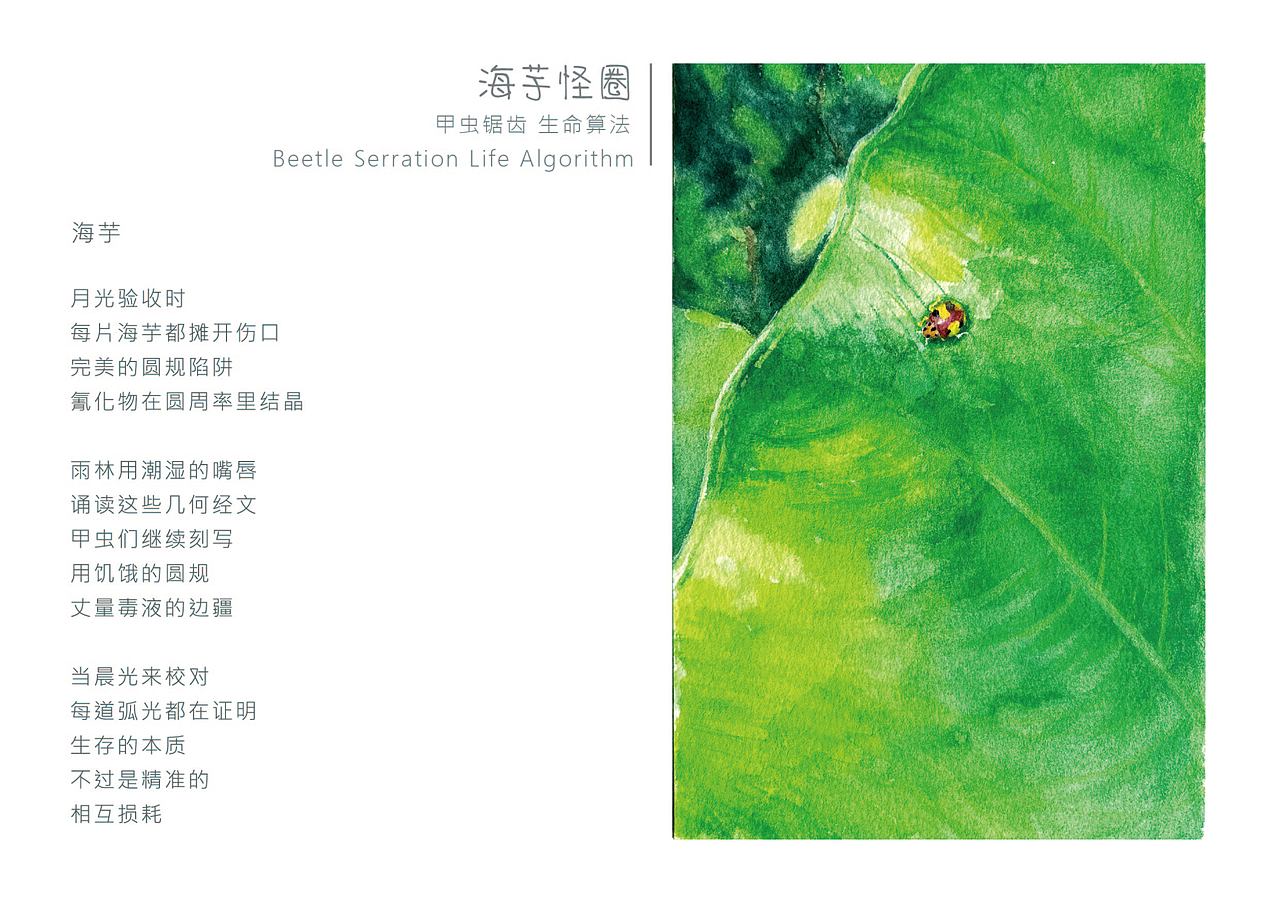 《涌·生命织景》热带雨林绘本设计（图ZNDA5NjMyOTc2） - 绘本 - 站酷设计师Z726576108原创素材 - 站酷ZCOOL