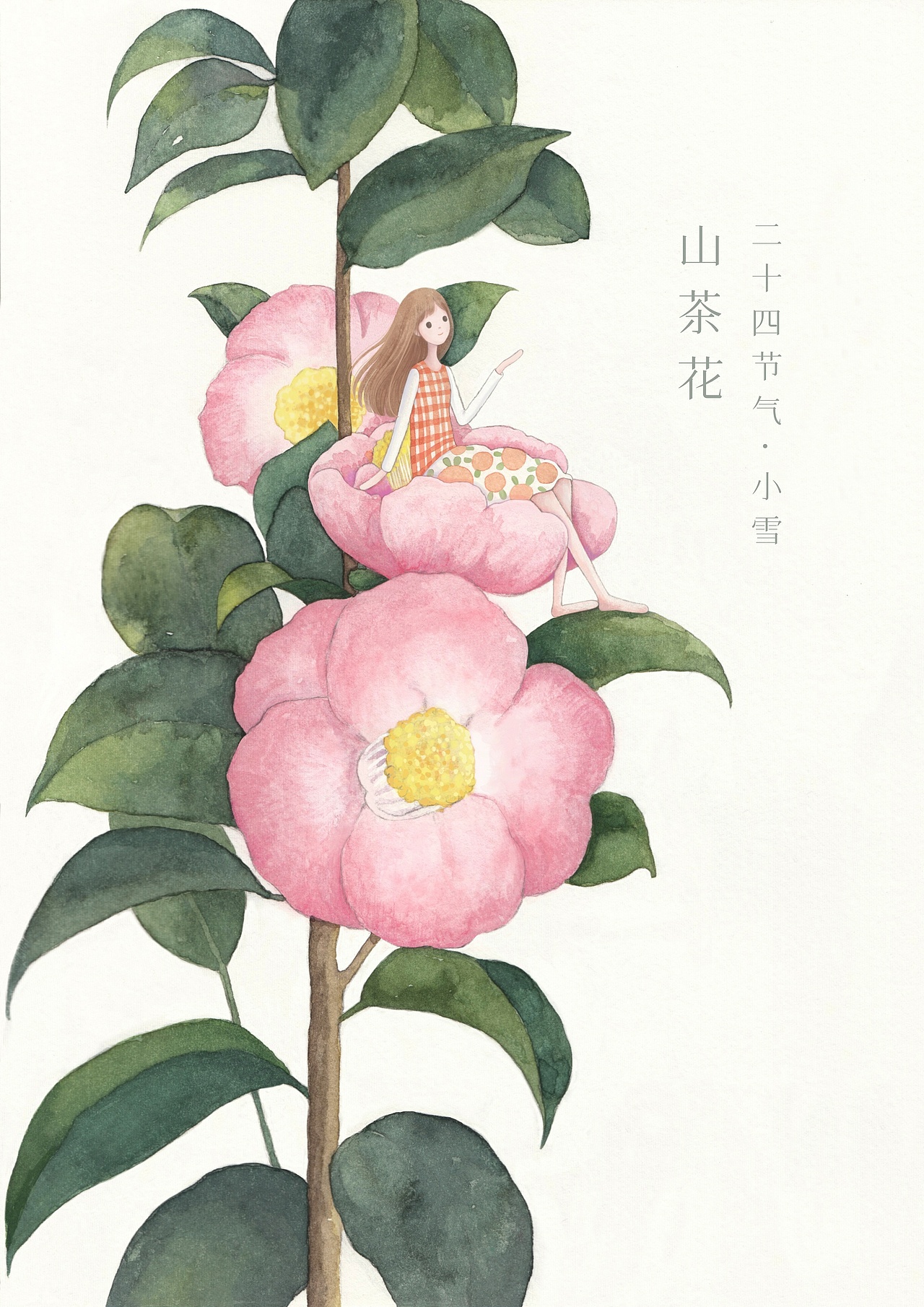 山茶花（图ZNDA5NjUxNTcy） - 绘本 - 站酷设计师雪熙snowie原创素材 - 站酷ZCOOL