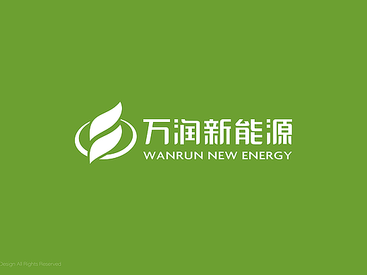 春风化雨®项目案例-新能源企业形象VI升级设计