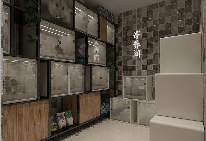 成都宠物店装修|开店必看的3个核心干货要点(图ZNDA5NzcxNzA0) - 商业空间设计 - 站酷设计师51工装原创素材 - 站酷ZCOOL