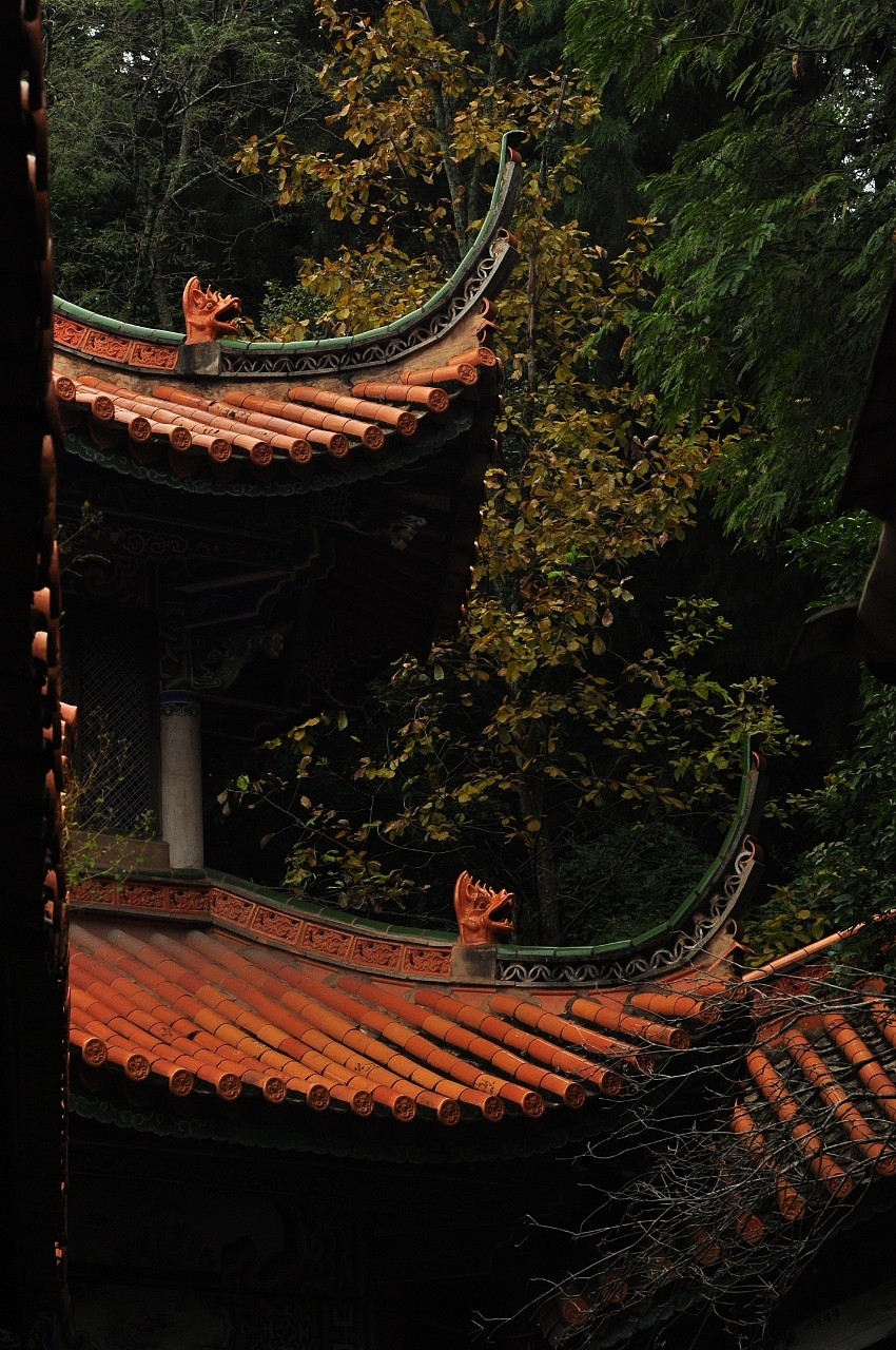 一抬头，便是一眼千年 当铎铃摇曳，双手合十 你想要（图ZNDA5Nzc4MjEy） - 风光摄影 - 站酷设计师NicoleRiver原创素材 - 站酷ZCOOL