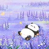 alynnn的头像