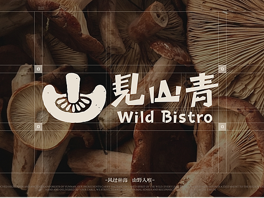 品牌设计 | 见山青wild bistro