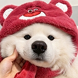 随心kkk的头像