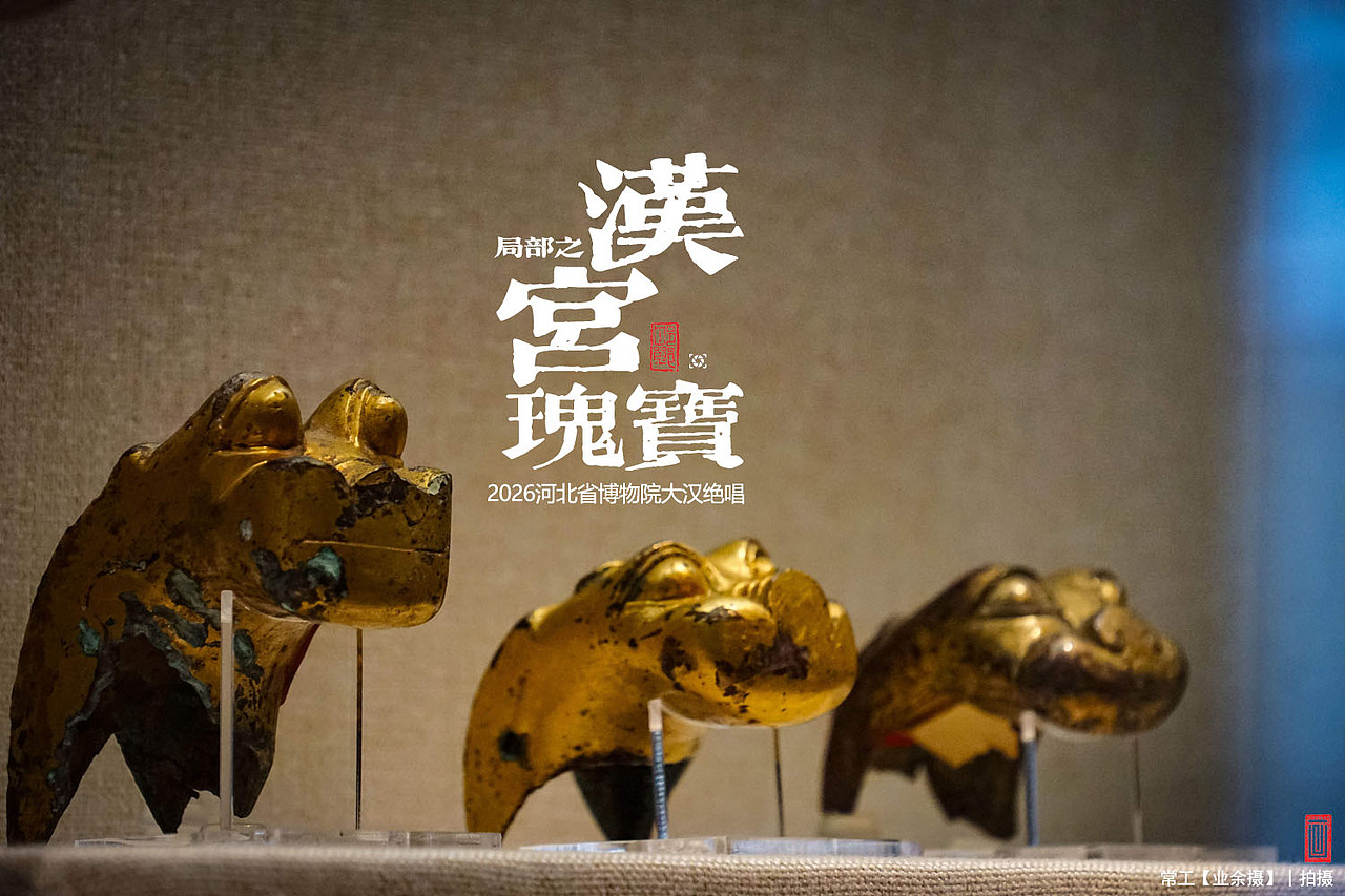局部之汉宫瑰宝（图ZNDA5OTc1NDA4） - 人文/纪实摄影 - 站酷设计师画设计原创素材 - 站酷ZCOOL