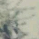 年年岁岁一的头像