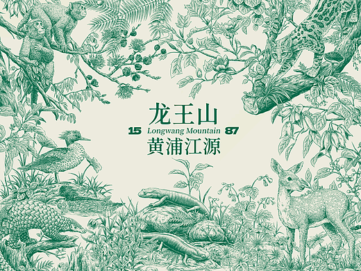 龙王山黄浦江源景区保护动植物插画