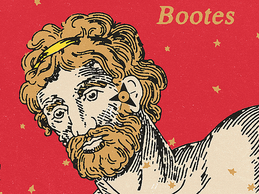 Canes