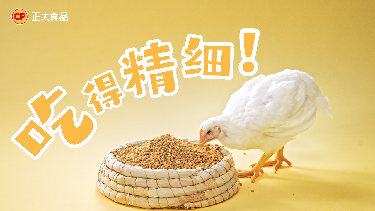 食品TVC|正大.山茶鸡（图ZNDEwMTk5NDI0） - 宣传片 - 站酷设计师CC食摄原创素材 - 站酷ZCOOL