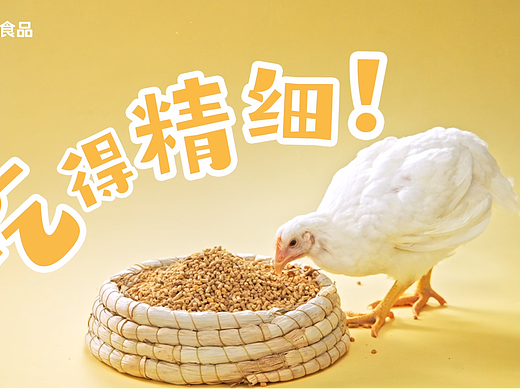 食品TVC|正大.山茶鸡