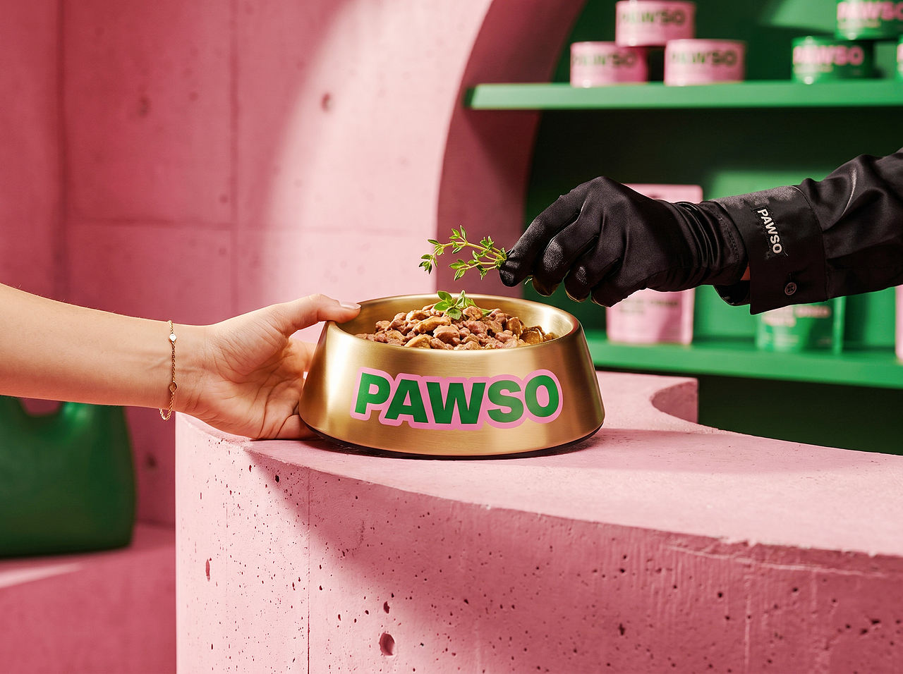 Up-Brands上游文传|PAWSO:宠物罐头的撞色升级(图ZNDEwMjA1NDgw) - 品牌 - 站酷设计师上游文创品牌设计原创素材 - 站酷ZCOOL