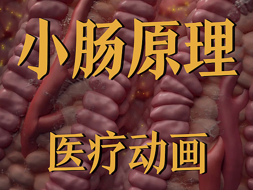 极幻数字 | 小肠原理医疗动画-小肠原理-医疗动画