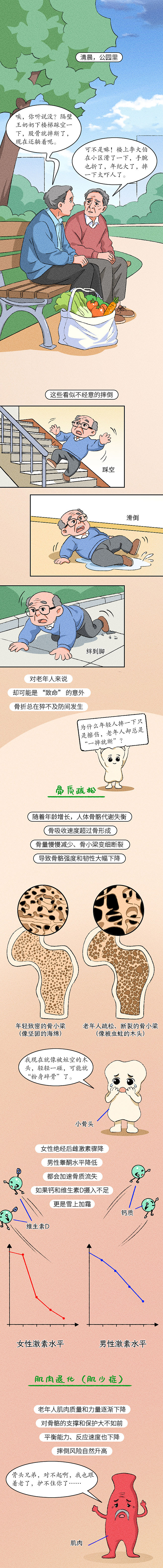 条漫设计 | 为什么老年人一摔就容易骨折（健康科普）（图ZNDEwMzMwOTYw） - 中/长篇漫画 - 站酷设计师小清SJQing原创素材 - 站酷ZCOOL