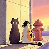 清雨晴空的头像