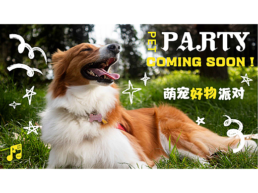 萌宠好物派对|品牌全案户外物料设计