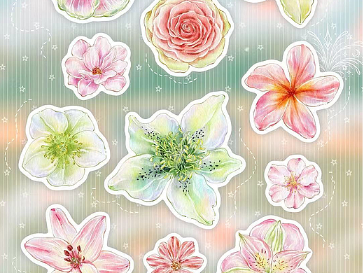 原创手绘花卉插画｜国风水彩装饰纹样图案