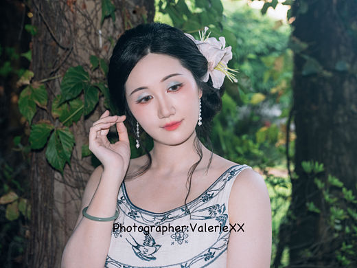 树影摇晃的时候，时间也慢了。