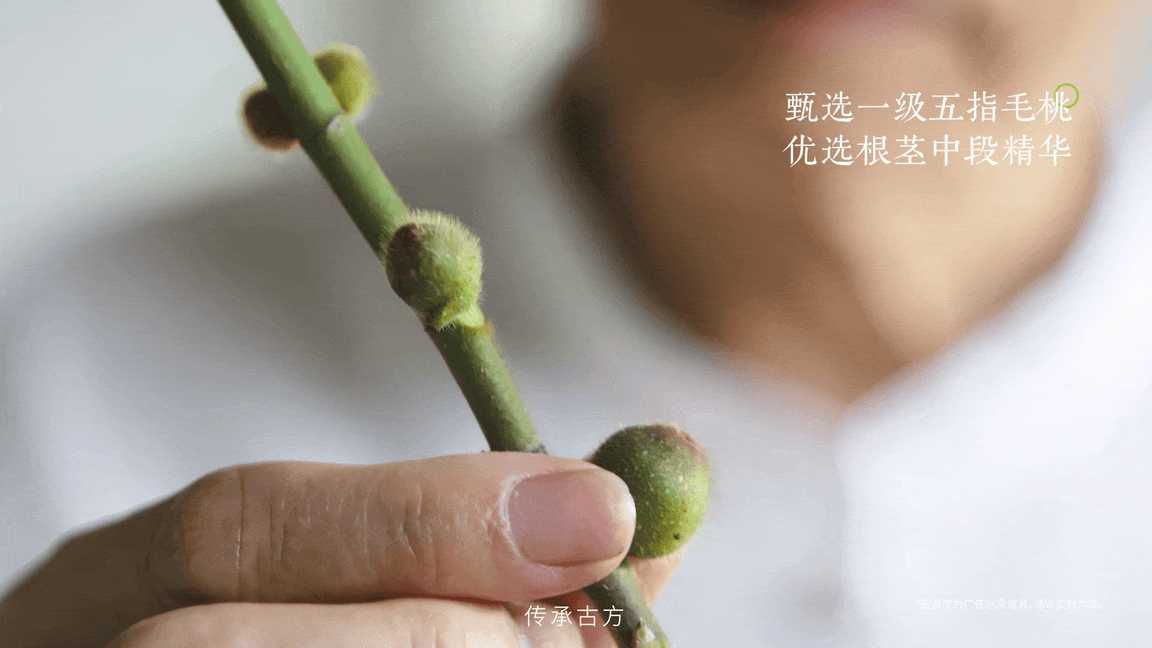 五谷磨房 | 三伏养生主题TVC如何打造温润中式氛围感（图ZNDEwNjEwNzQw） - 短片 - 站酷设计师春生生画原创素材 - 站酷ZCOOL