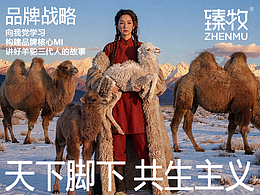 全案
