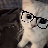 六六lulu的头像