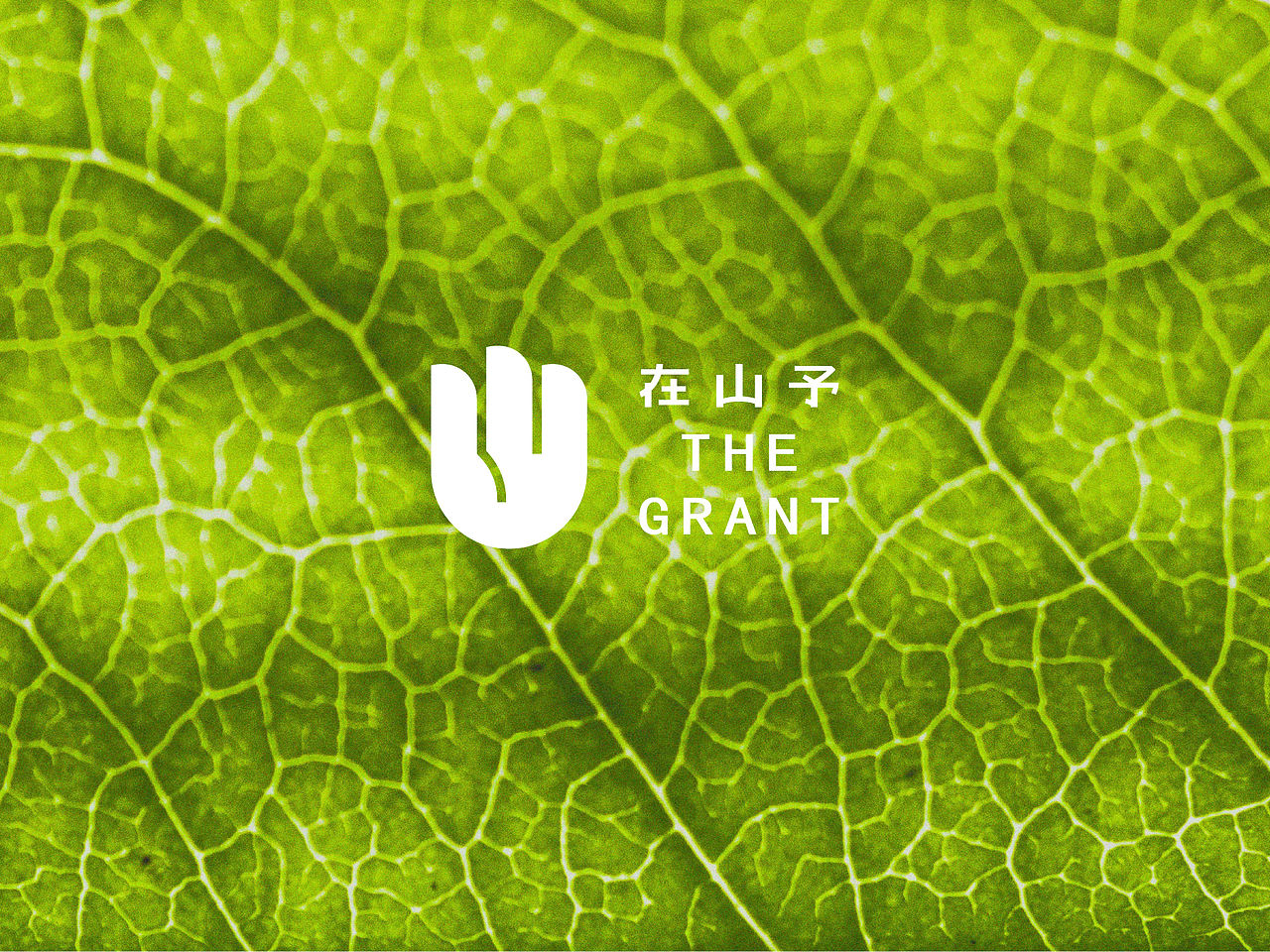 单人旁Studio Radic|在山予农场Logo（图ZNDEwNzE4NjMy） - Logo - 站酷设计师单人旁设计原创素材 - 站酷ZCOOL