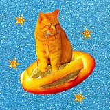 Ilysa的头像