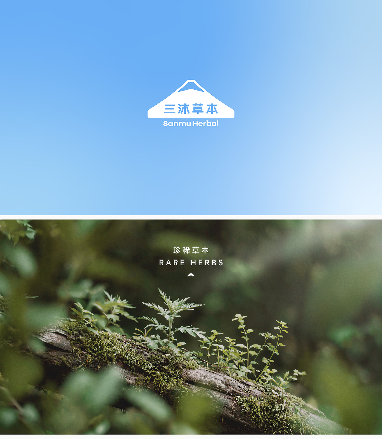 汤臣杰逊 X 三沐草本-极地白灵芝蛋黄油（图ZNDEwNzUwNzYw） - 品牌 - 站酷设计师汤臣杰逊原创素材 - 站酷ZCOOL