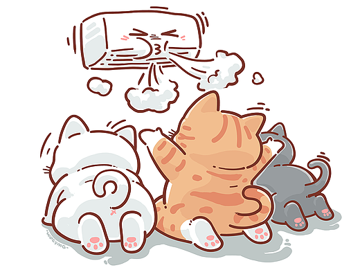 打工猫咪发疯日记