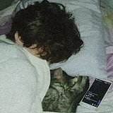 sauza的头像