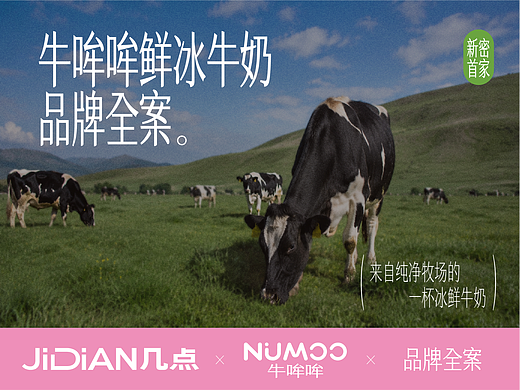 牛哞哞鲜冰牛奶品牌全案