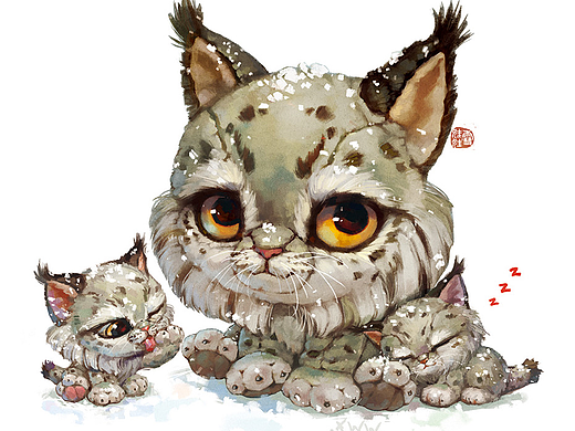猞猁一家
