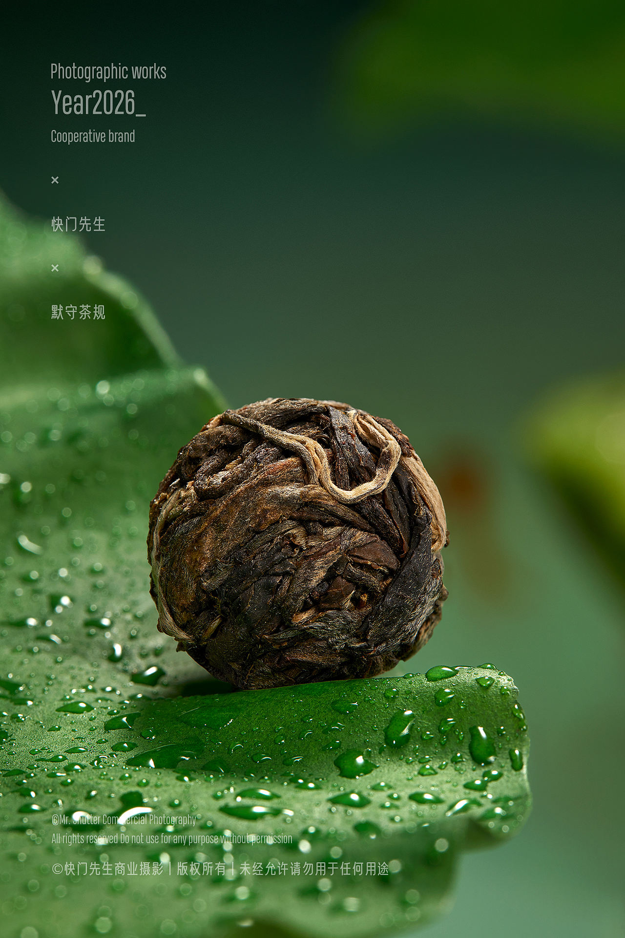 东方茶礼视觉创作|清境·莲 ✖ 雍华宝相(图ZNDEwODMzNzA0) - 产品摄影 - 站酷设计师快门先生商业影像原创素材 - 站酷ZCOOL