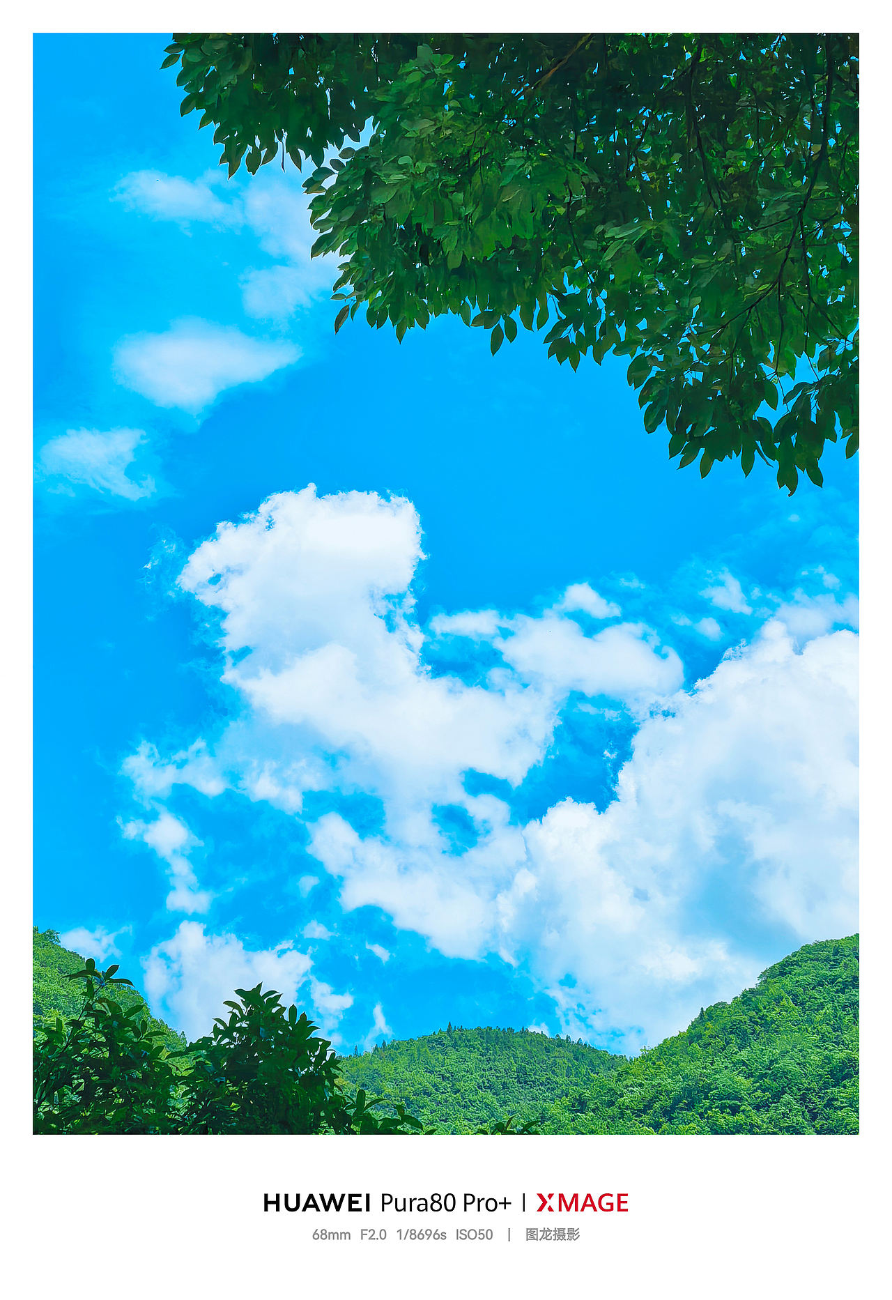 手机摄影笔记｜在重庆仙女山，把夏天过成一首蓝色的诗（图ZNDEwODYwMTQw） - 风光摄影 - 站酷设计师图龙摄影原创素材 - 站酷ZCOOL