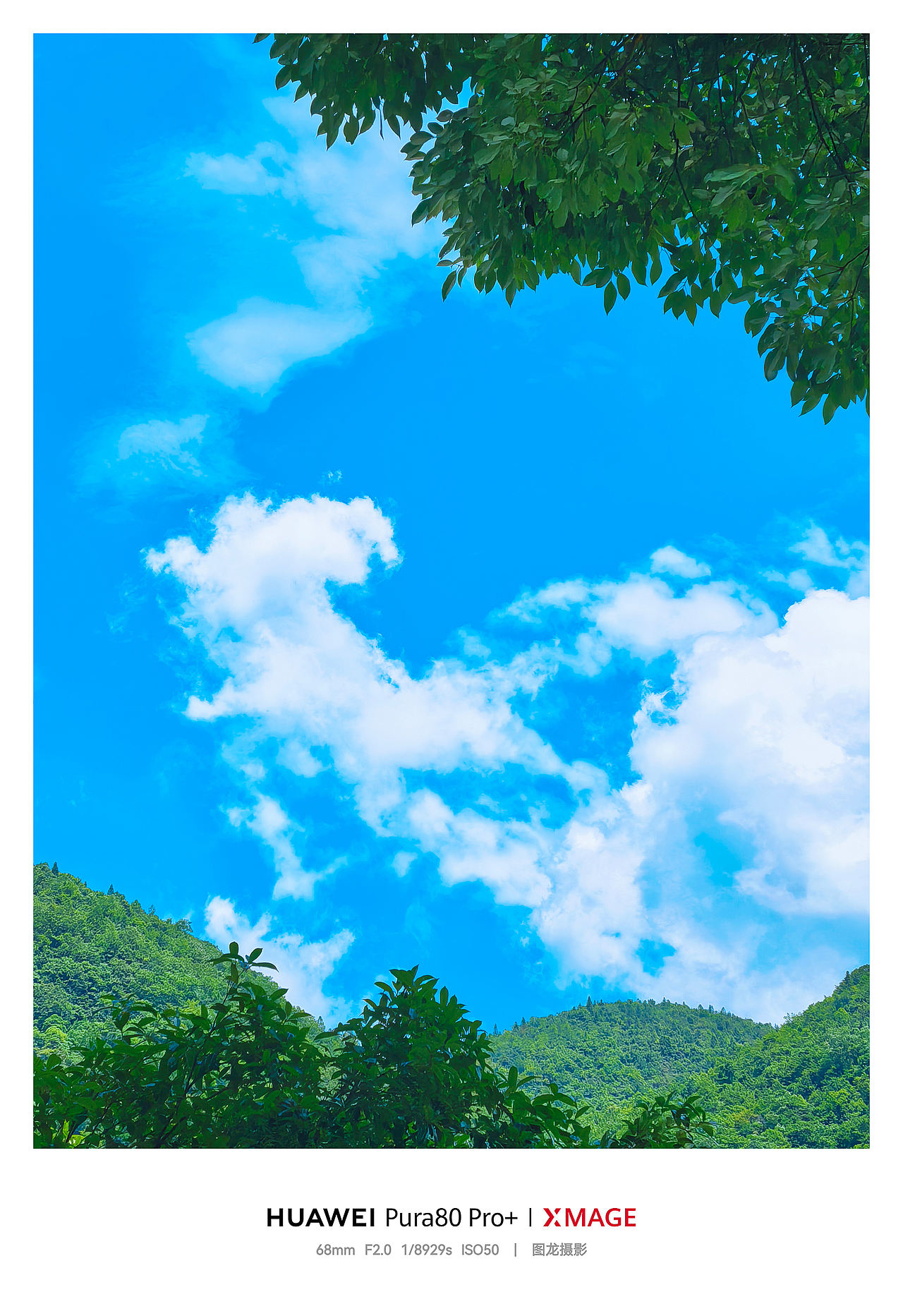 手机摄影笔记｜在重庆仙女山，把夏天过成一首蓝色的诗（图ZNDEwODYwMTQ0） - 风光摄影 - 站酷设计师图龙摄影原创素材 - 站酷ZCOOL