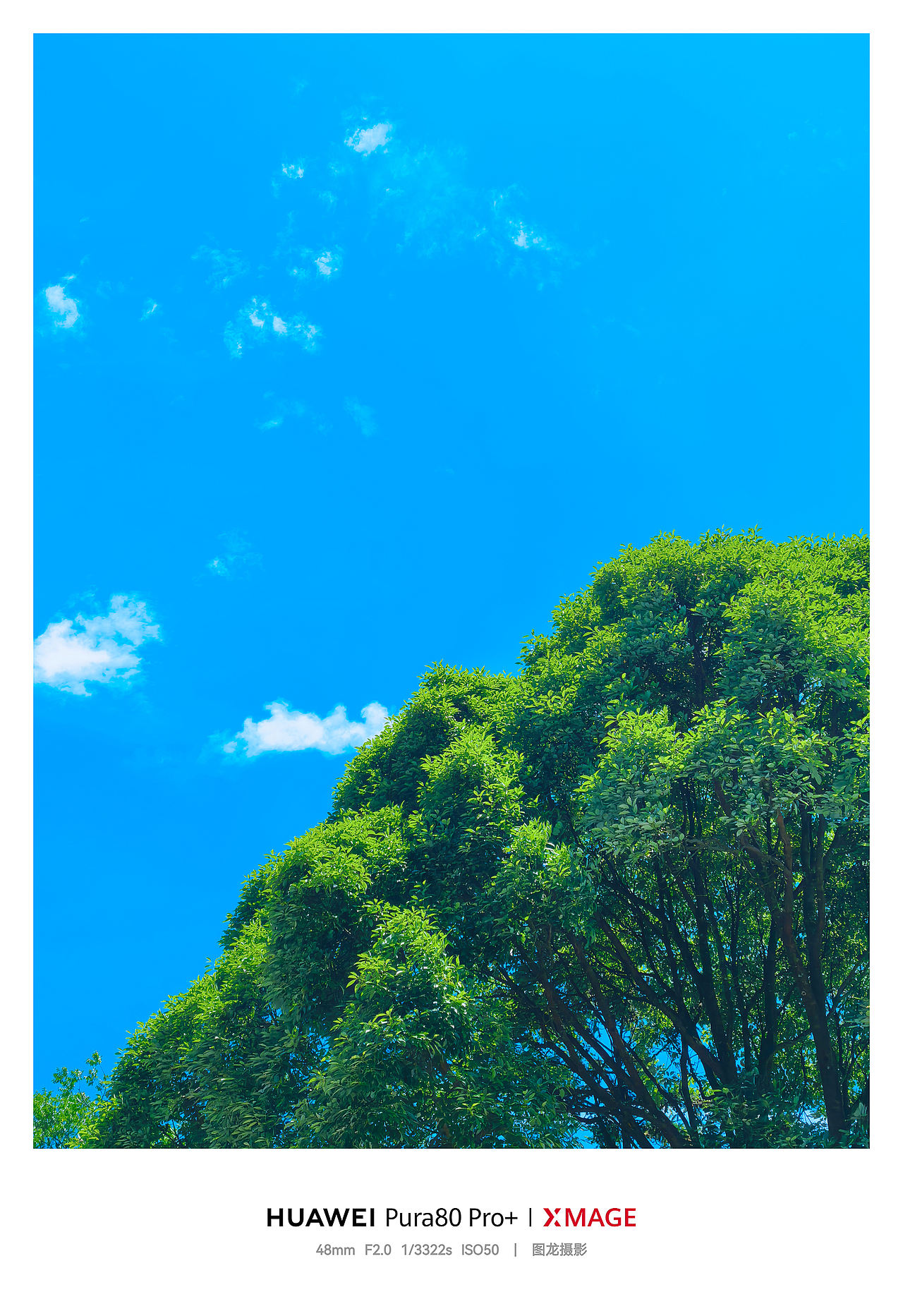 手机摄影笔记｜在重庆仙女山，把夏天过成一首蓝色的诗（图ZNDEwODYwMTUy） - 风光摄影 - 站酷设计师图龙摄影原创素材 - 站酷ZCOOL