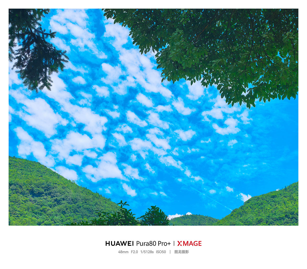 手机摄影笔记｜在重庆仙女山，把夏天过成一首蓝色的诗（图ZNDEwODYwMTcy） - 风光摄影 - 站酷设计师图龙摄影原创素材 - 站酷ZCOOL