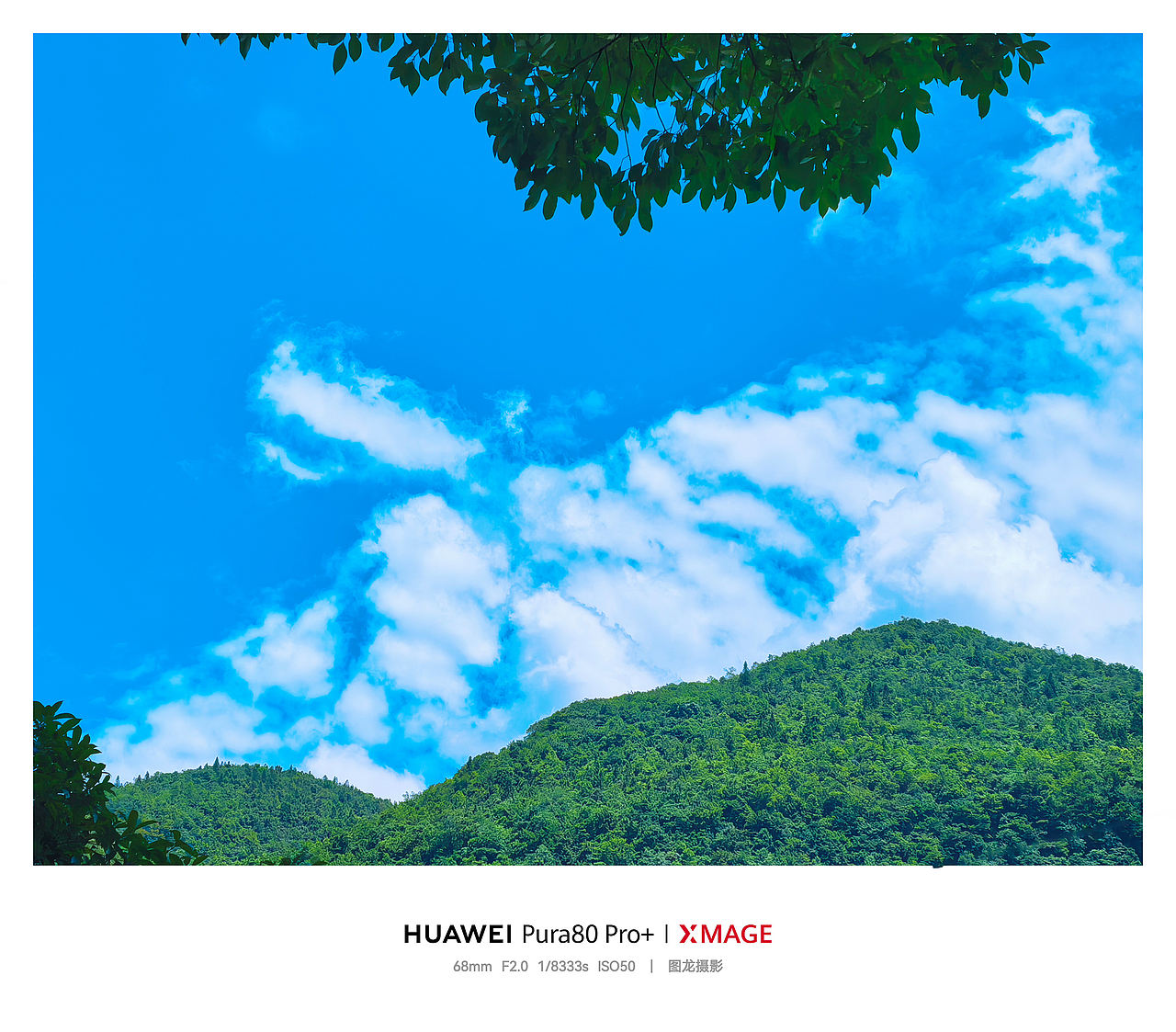 手机摄影笔记｜在重庆仙女山，把夏天过成一首蓝色的诗（图ZNDEwODYwMTc2） - 风光摄影 - 站酷设计师图龙摄影原创素材 - 站酷ZCOOL
