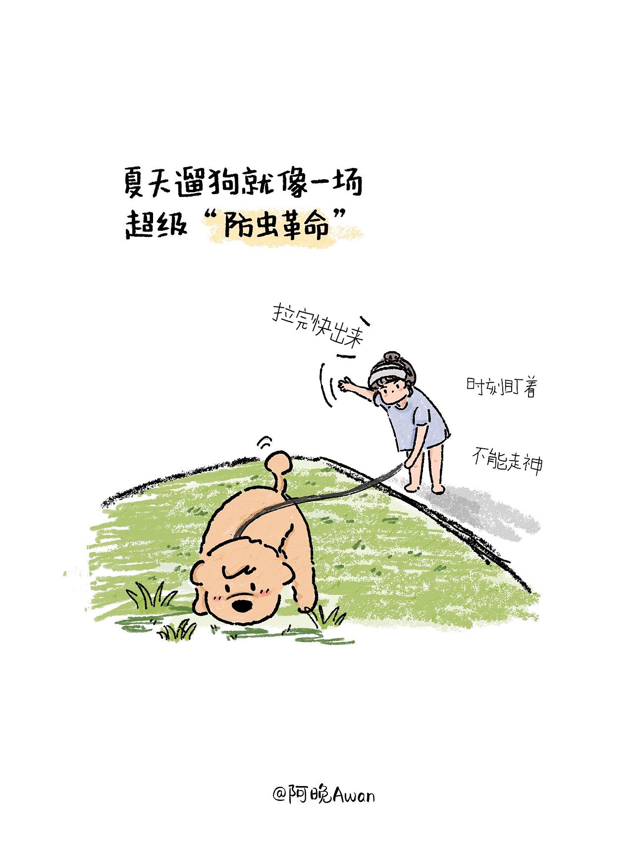 夏季遛狗·防虫篇（图ZNDEwOTAzMzg4） - 创作习作 - 站酷设计师阿晚插画Awan原创素材 - 站酷ZCOOL