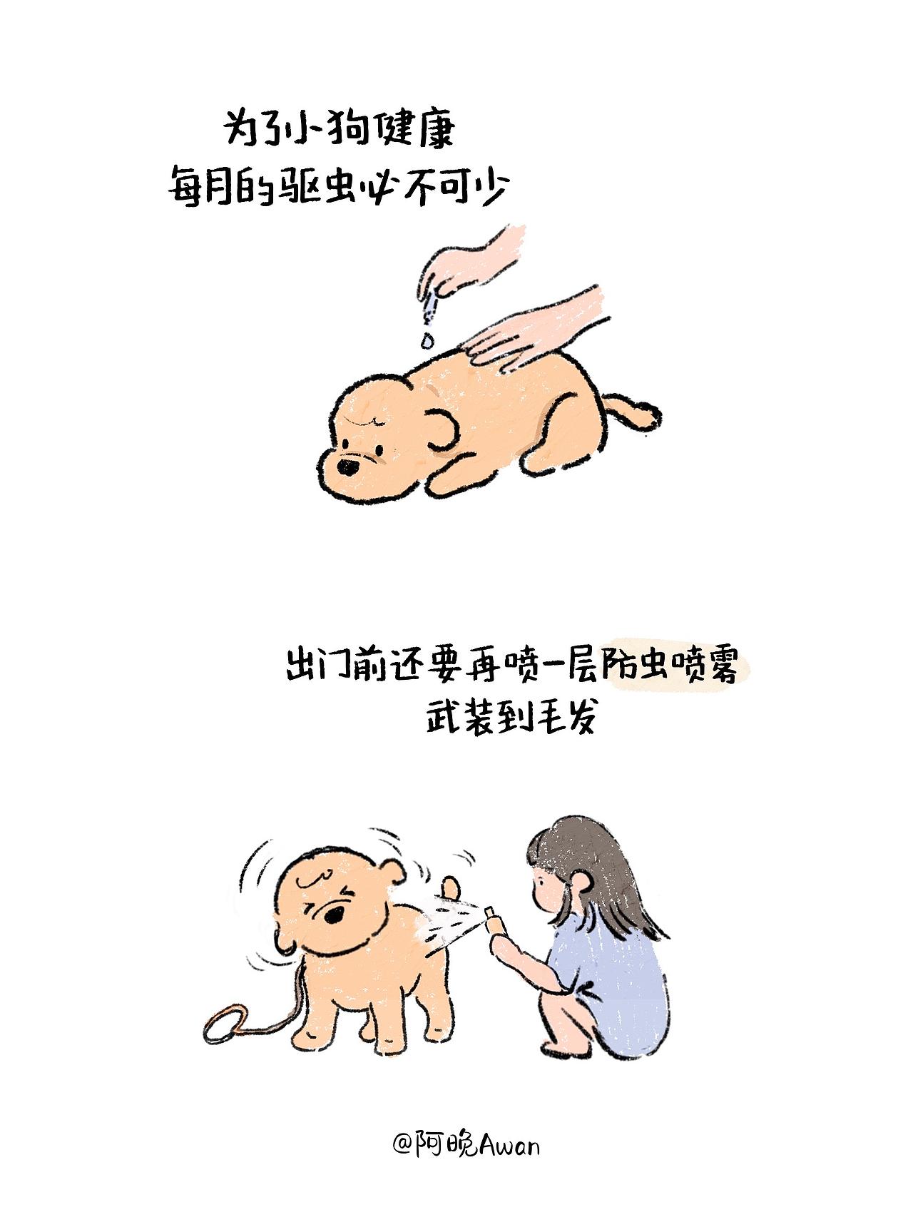 夏季遛狗·防虫篇（图ZNDEwOTAzMzky） - 创作习作 - 站酷设计师阿晚插画Awan原创素材 - 站酷ZCOOL